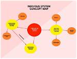 Understanding the Concept of a System?