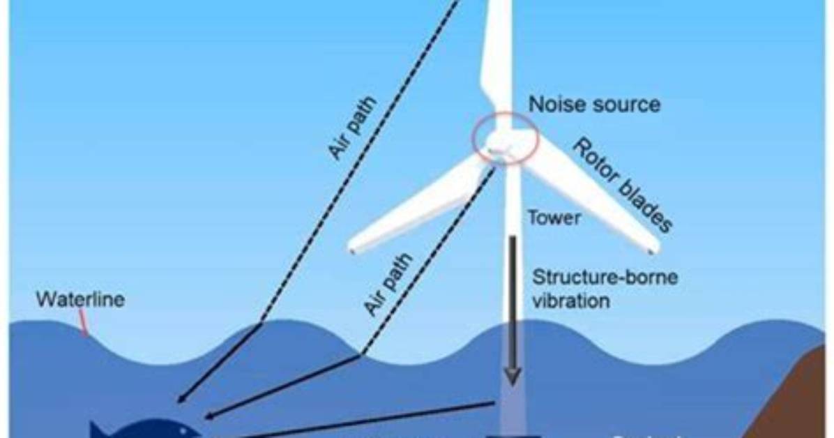 Understanding Wind Widows: the Unseen Impact of Wind Energy