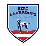 Unleash the Heroic Potential of Hero Labradors: Uncover Surprising Insights