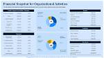 Unlock Financial Clarity: Cynthia's Financial Snapshot for Her Enterprise