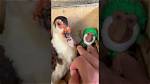 Unpacking the Phenomenon of Grab Memes