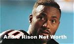 Unraveling the Legacy of Andre Rison: a Football Icon