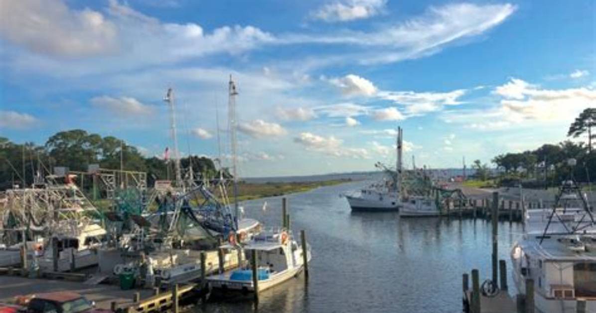 Unraveling the Life of Ocean Springs Molly Noblitt