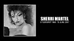 Unraveling the Life of Sherri Martel's Son