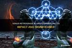 Unraveling the Significance and Impact