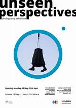 Unseen Perspectives and Enduring Impact