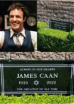 Unveiling the Charismatic Lives of James and Oliver Phelps: an Intriguing Tale