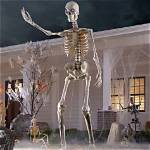 Unveiling the Fascination: the 12 Foot Skeleton Phenomenon
