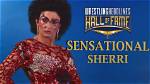 Unveiling the Magic of Sensational Sherri