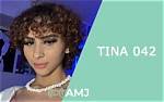 Unveiling the Mystery: the Tina_042 Leaks Phenomenon