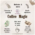 Unveiling the Wonders of the Magic Coffee Table: Discoveries and Insights