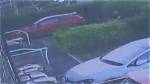 Watch the Moment a Man in the Florida Everglades Gets Yanked off a Boat by a Shark, in Case You Need