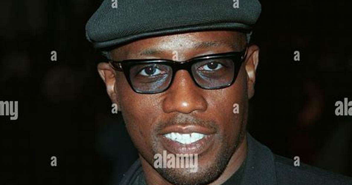 Wesley Snipes: the Multifaceted Star of Hollywood