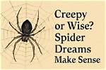 What Spider Dreams Might Be Telling You?