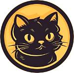 Whiskers of Mystery: the Enigmatic Human Faced Cat