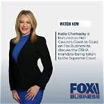 Who Katie Cherkasky? Everything About the Attorney