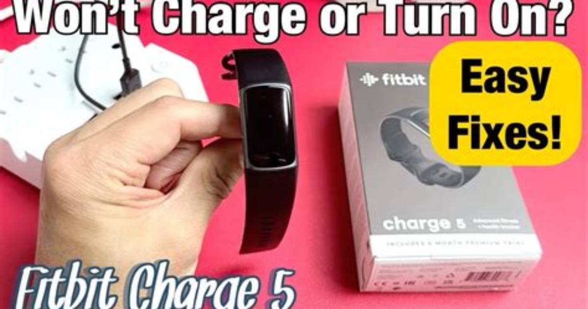 Why Won't My Fitbit Charge? 5 Ways to Fix Your Fitbit