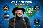 Willie Nelson's Impressive Net Worth in 2024: a Look into His Financial Success