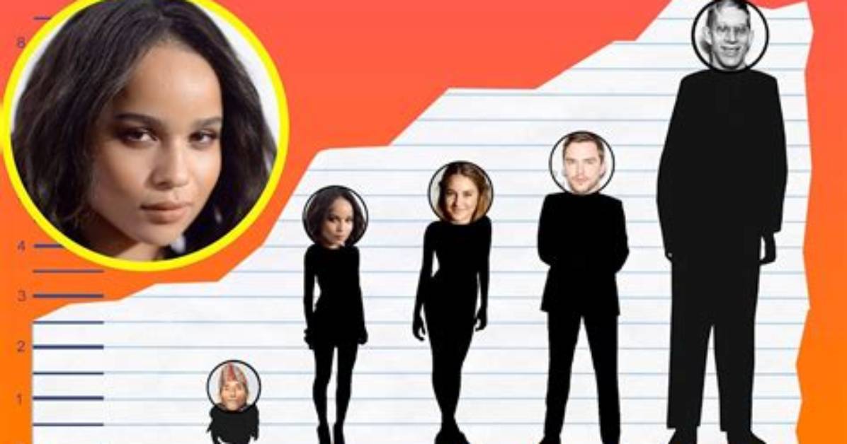 Zoe Kravitz Biography, Height, Weight, and Everything You Need to Know |